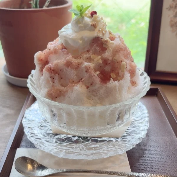 ありがとう。