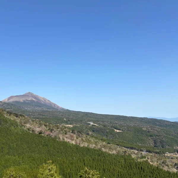 甘えてほしいな