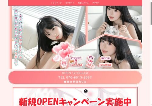 エミニの公式ホームページ