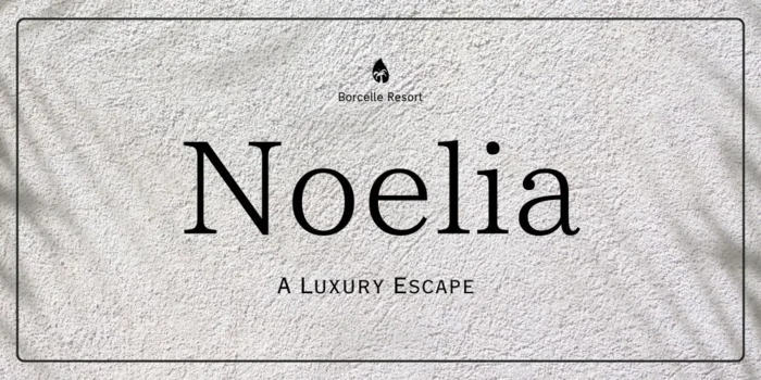 Noeliaの求人募集イメージ