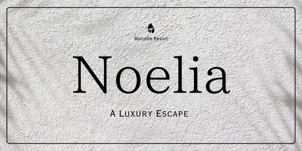 Noeliaの施術室写真