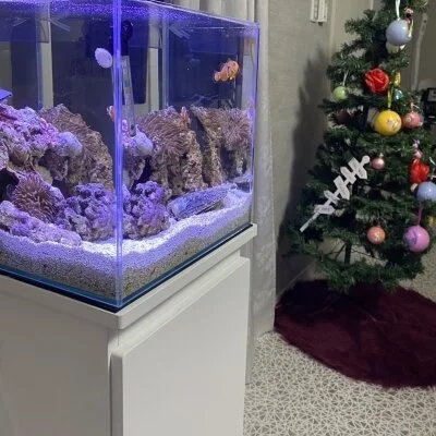 Bloomy高崎のメリットイメージ(1)