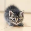 セラピストさん急募✨経験者・未経験者大歓迎🌿のサムネイル