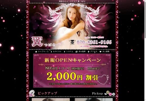 翼（つばさ）の公式ホームページ