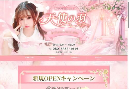 天使の羽の公式ホームページ