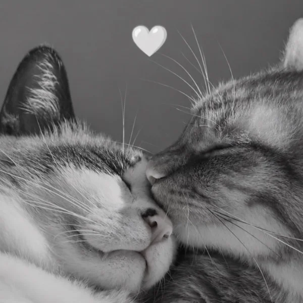 ありがと♡
