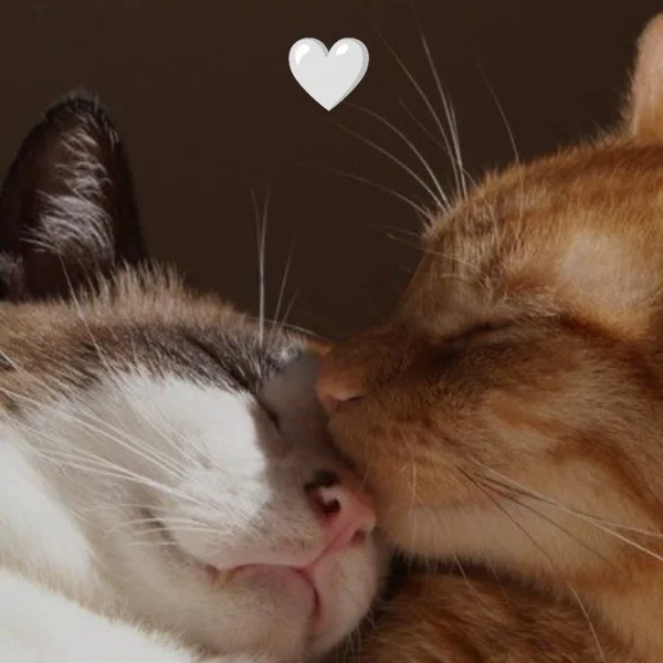 イメチェン♡