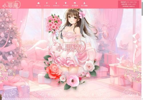 小悪魔の公式ホームページ