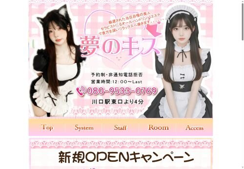 夢のキスの公式ホームページ