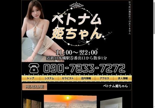 ベトナム姫ちゃんの公式ホームページ