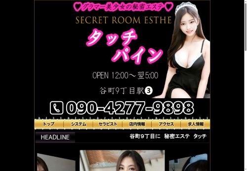 タッチパインの公式ホームページ