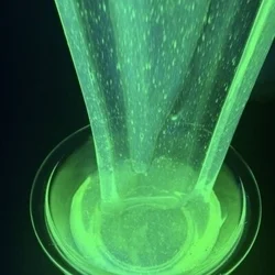 お店のコースその2