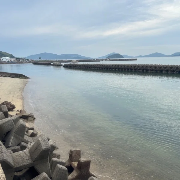 小さな幸せ☘️*゜