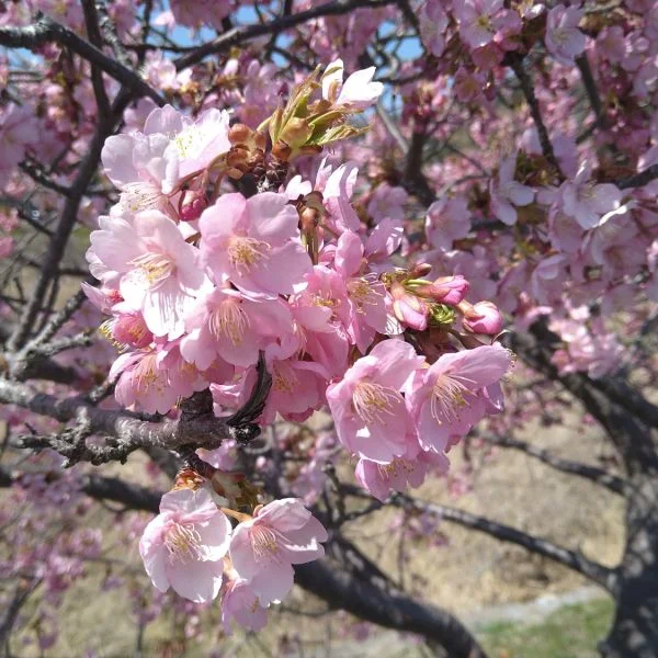 こんにちは☀️