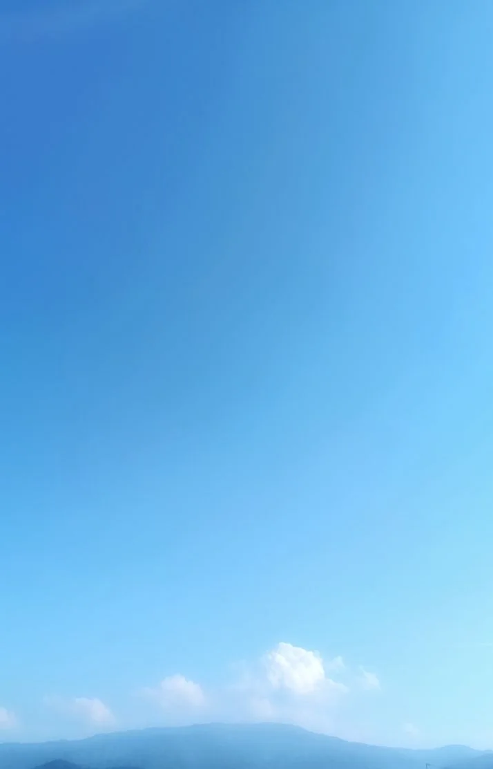 祭り日