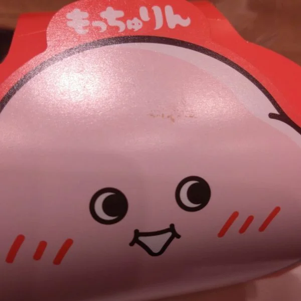 遂にもっちゅるりんを！