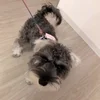 早朝散歩のサムネイル
