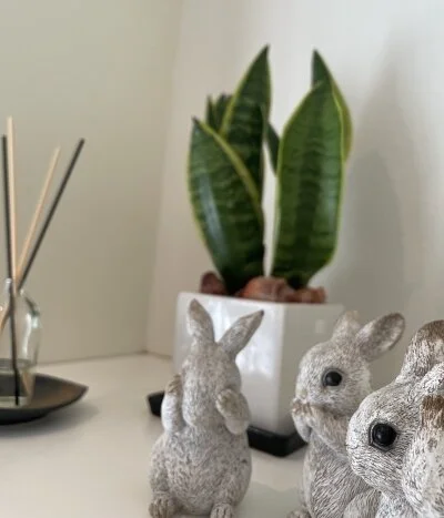 ベルッチのメリットイメージ(3)