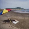 🌸すず、早起きして指宿温泉へ♨️のサムネイル