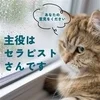 あなたの意見、ちゃんと聞いてますのサムネイル