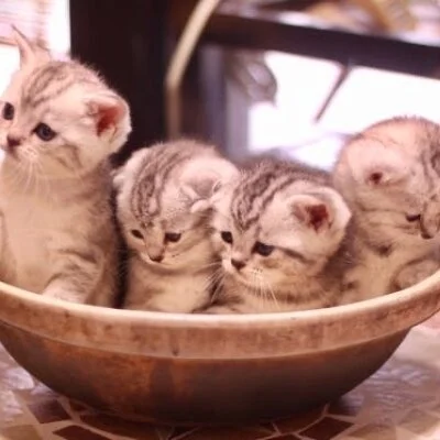 新宿JKエステのメリットイメージ(3)