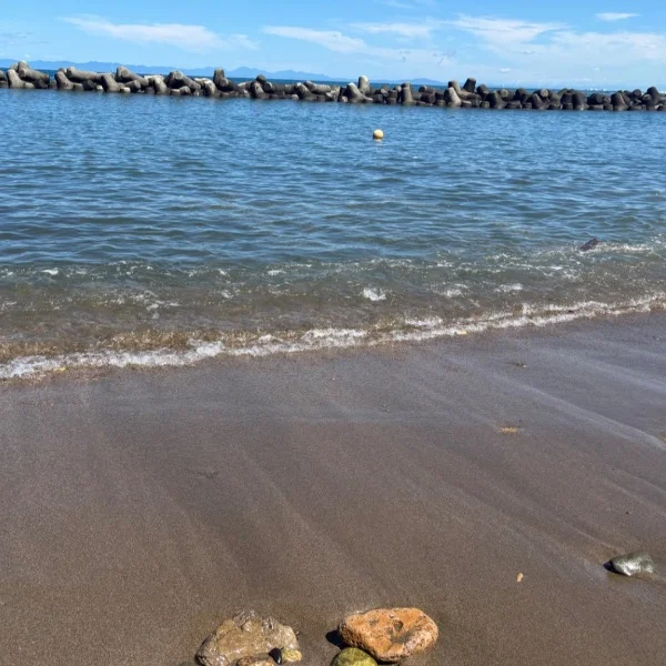 おはようございます☀️