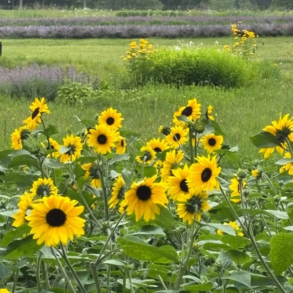 おはようございます☀️
