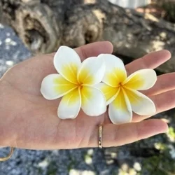 瑠璃色出張エステ鹿児島・指宿