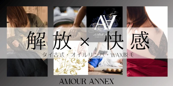 AMOUR ANNEX