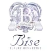 Bise -ビズ-