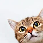 採用担当の荒木　（女性店長)さん