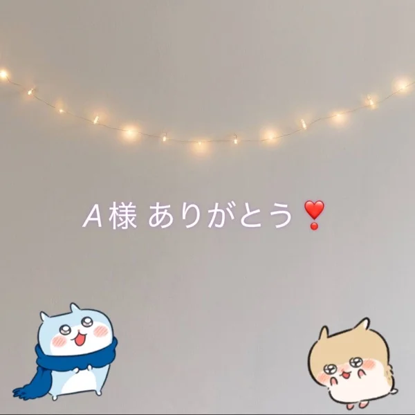🍎お礼 A様🍎