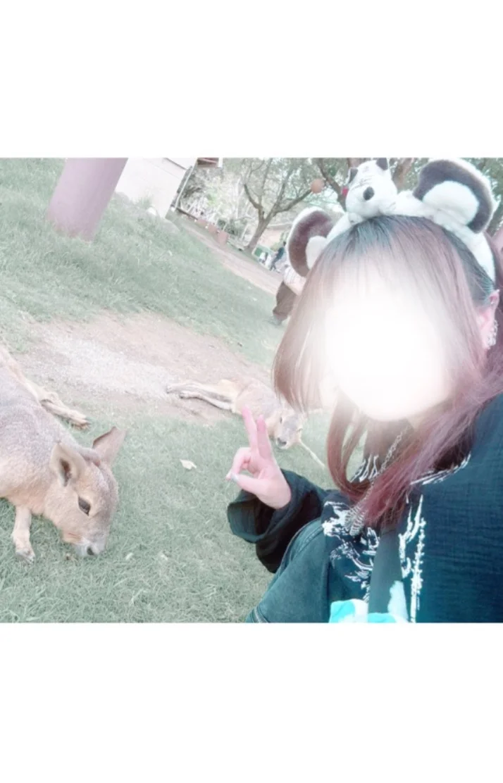 こんにちは⭐️