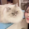 花山　亜香里