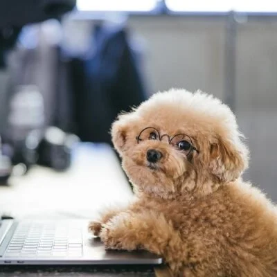 アロマアンティーク（南千住・亀有・要町）のメリットイメージ(1)