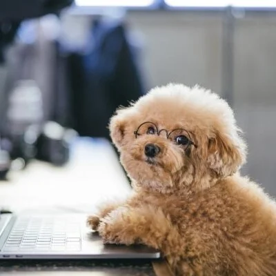 アロマアンティーク（南千住・亀有・要町）のメリットイメージ(2)