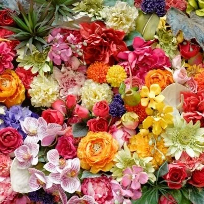 妖艶熟女秘密部屋のメリットイメージ(3)