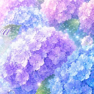 紫陽花セレナーデのメリットイメージ(1)