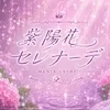 紫陽花セレナーデ