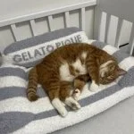 採用担当の中村さん