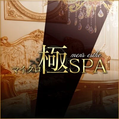 マイクロ極SPA