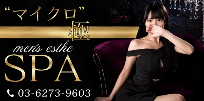 マイクロ極SPA