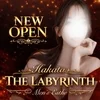THE LABYRINTH〜ラビリンス〜