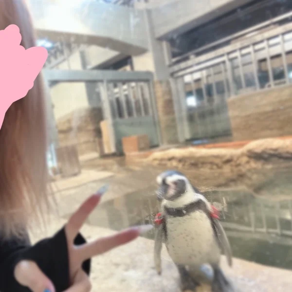 苫小牧います🫡