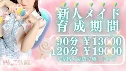 🔰新人メイド育成期間🔰13,000円
