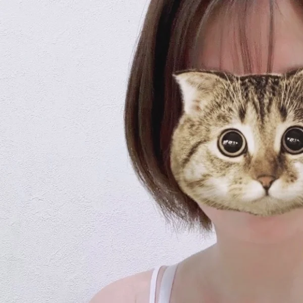 本日は…
