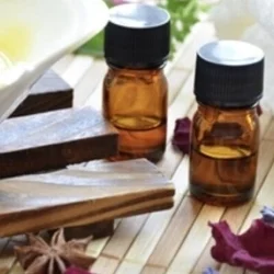 お店のコースその3