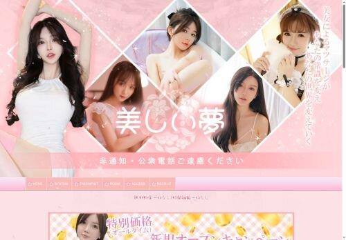 美しい夢の公式ホームページ