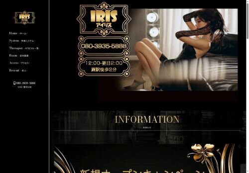 IRISの公式ホームページ