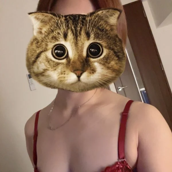 今夜新宿でーす